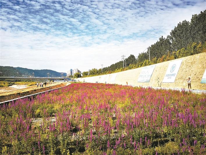 陕西环保十大成效,凝聚力量砥砺前行做好环保工作