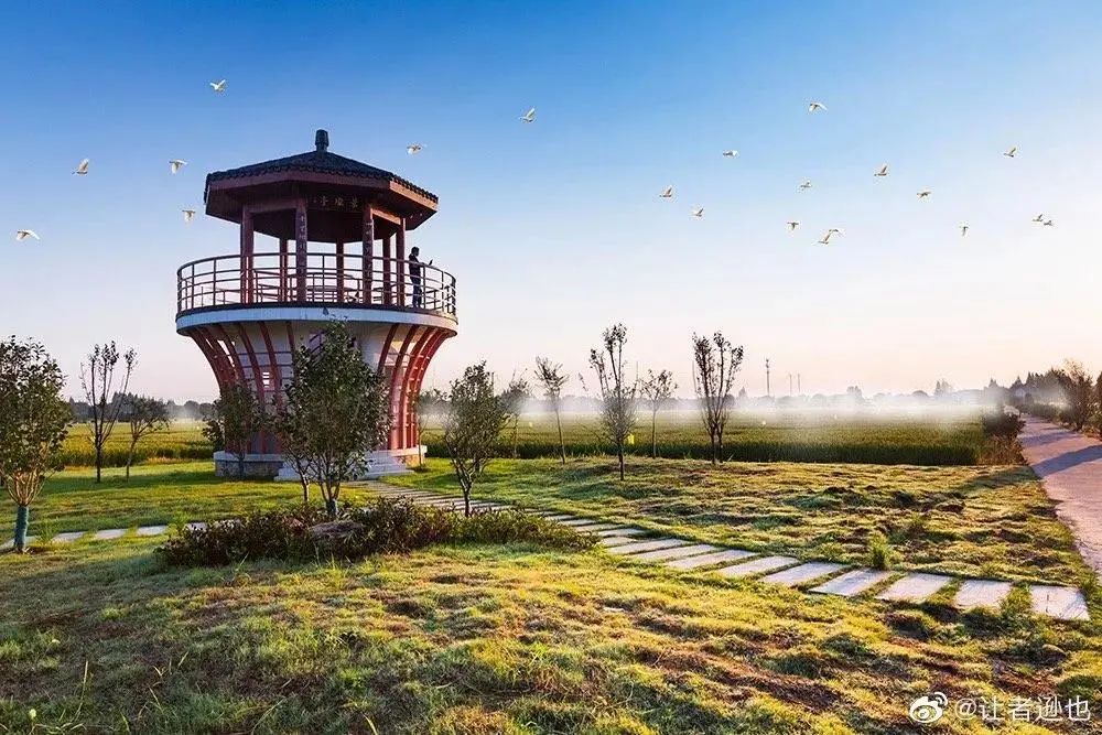 广州稻田网红打卡地,宜良稻田网红打卡点