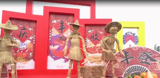 广州稻田网红打卡地,宜良稻田网红打卡点