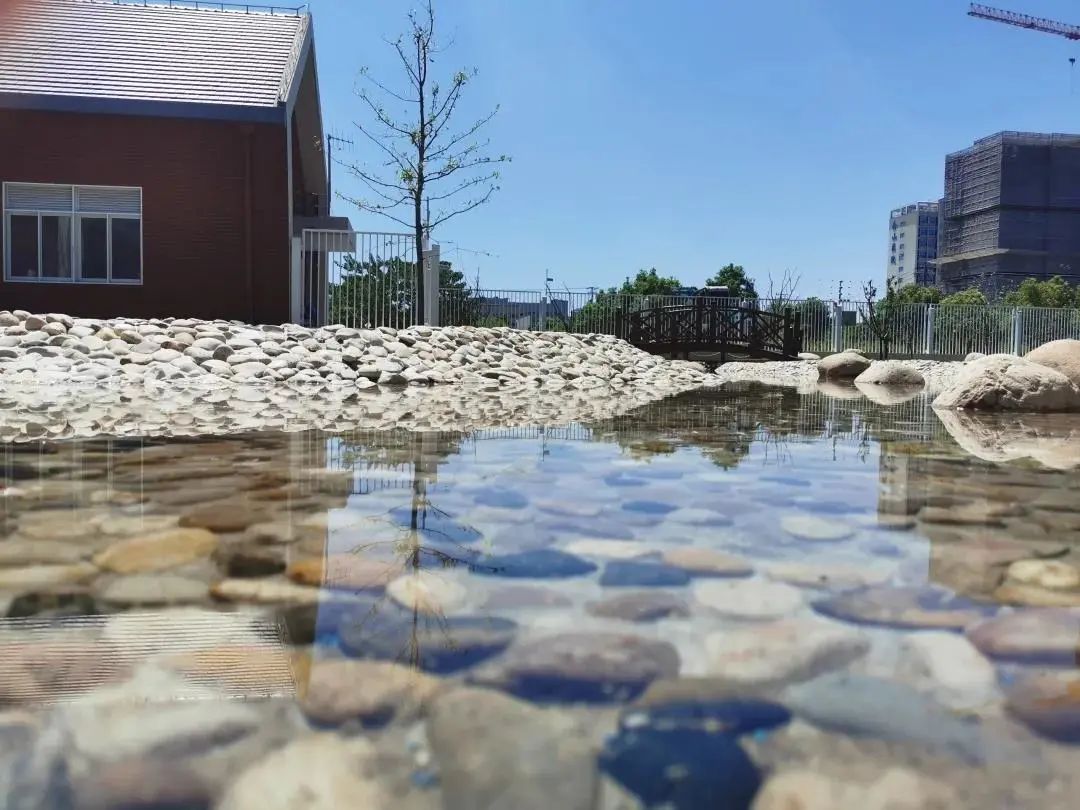 金山幼儿园资质,金山市级幼儿园