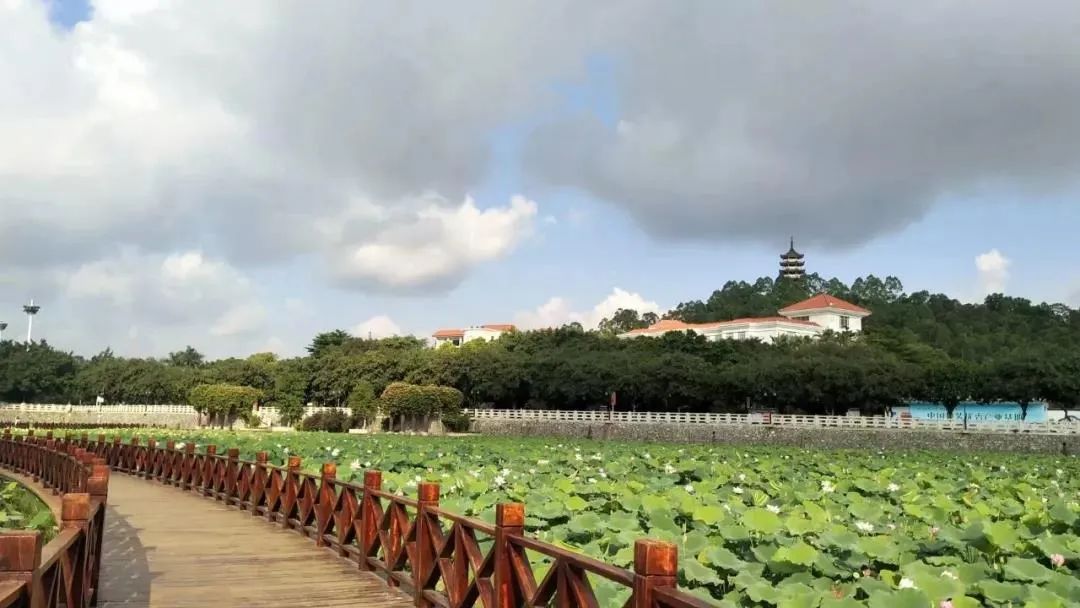 东莞周末带小孩哪里有好玩的地方,东莞又有什么好玩的