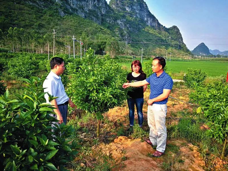 扶贫故事︱“我要做打破贫困篱笆的人”——记马山县永州镇亲爱村致富带头人韦世君