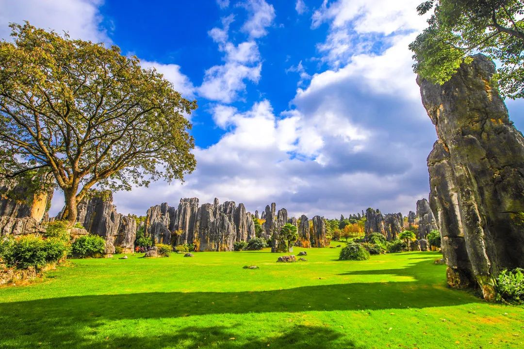 昆明春城秀图片,昆明正宗春城秀