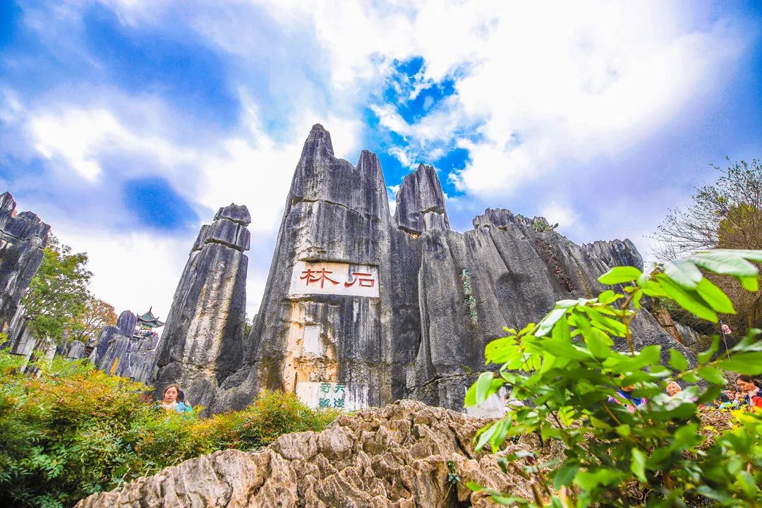 昆明春城秀图片,昆明正宗春城秀