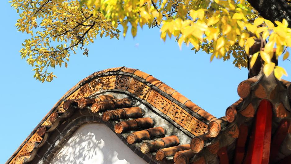 昆明春城秀图片,昆明正宗春城秀