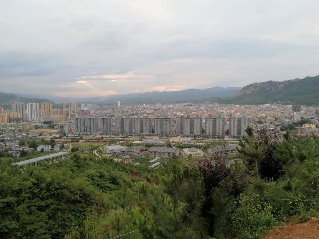 李正善图片,李世民丹凤眼