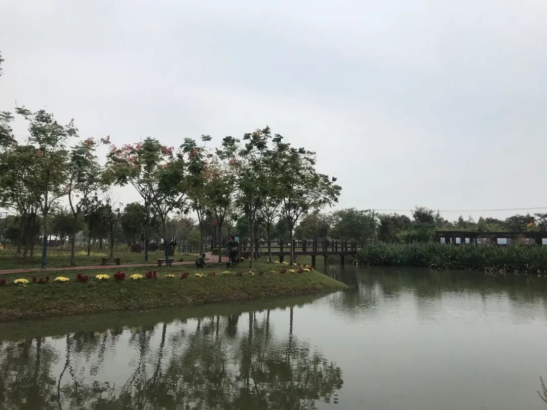 河道垃圾清理促水清岸绿景美,水清岸绿风景