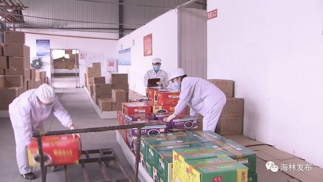 热门特色美食,北味香辣黑木耳