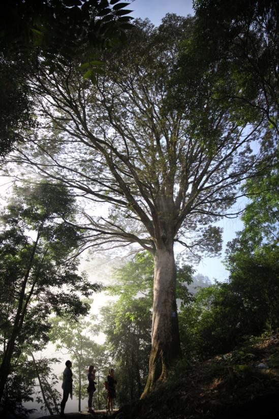 丰都龙河镇风景区,丰都龙河景点