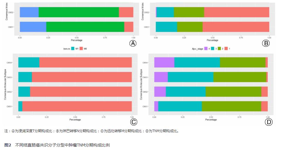 转移性结直肠癌基因分型,结直肠癌病理组织学分级