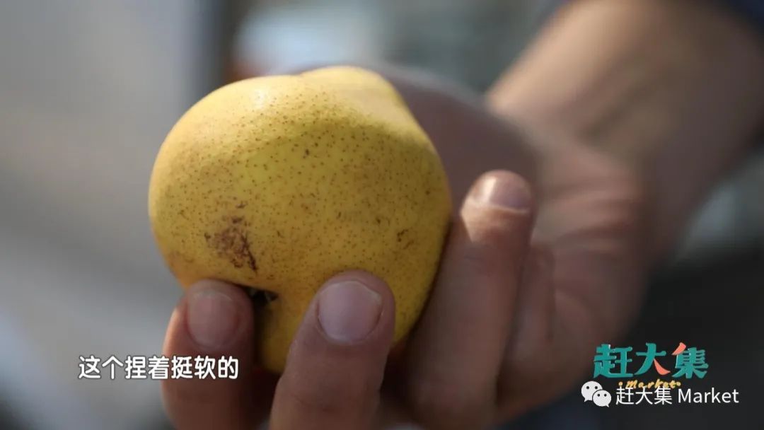 天津都市频道赶大集宁河,天津都市频道赶大集卷凉皮