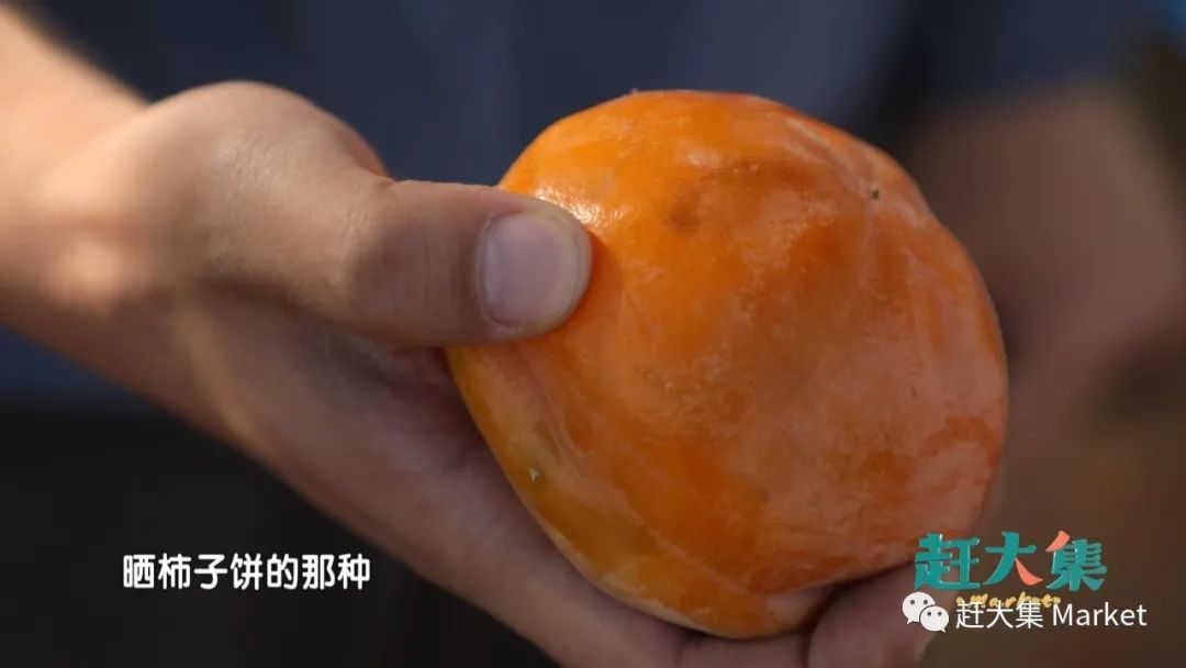 天津都市频道赶大集宁河,天津都市频道赶大集卷凉皮