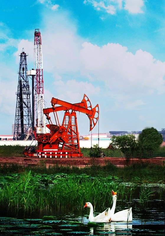 什么是东营利津,什么是东营工作学院