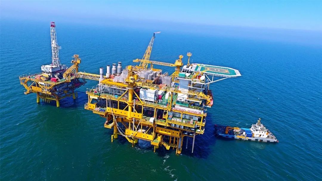 什么是东营利津,什么是东营工作学院