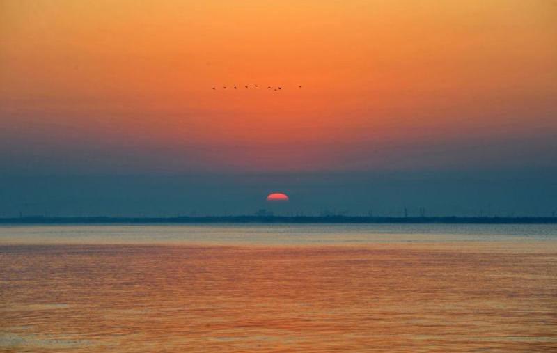 什么是东营利津,什么是东营工作学院