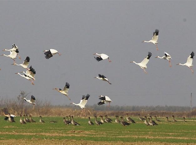 什么是东营利津,什么是东营工作学院