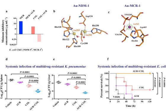 对抗超级细菌的免疫药,对抗超级细菌的中药