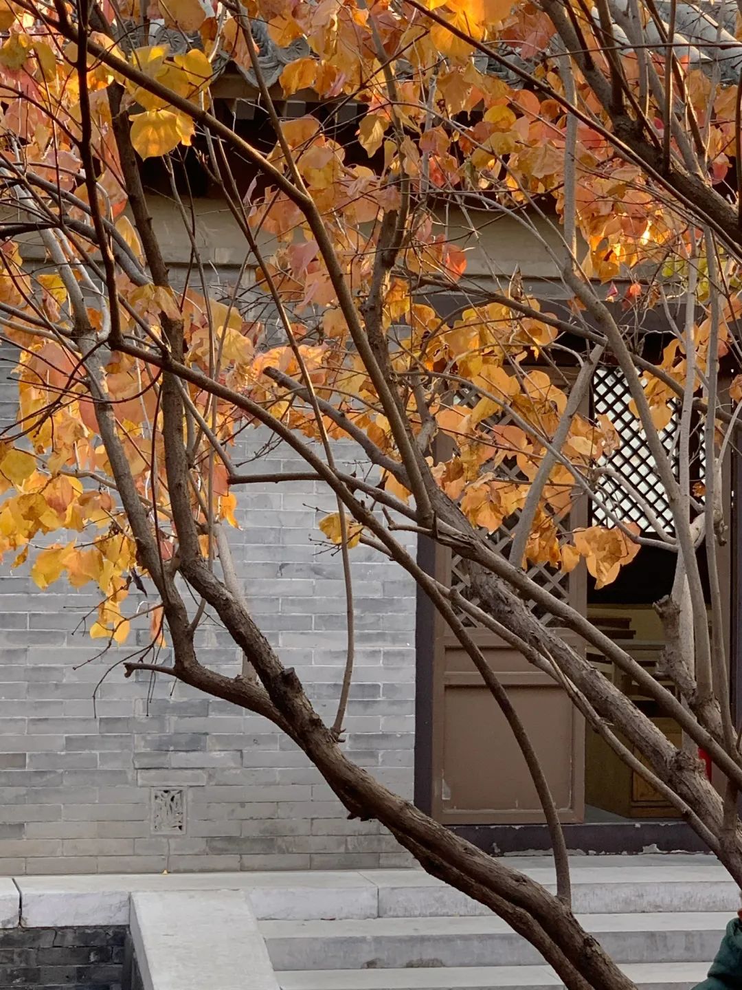 北京浪漫又好看的风景餐厅,北京适合夏天去的餐厅