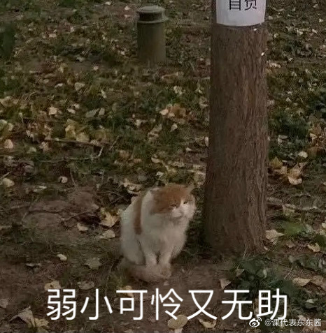 海底捞的单人套餐有什么菜,海底捞的套餐怎么那么便宜