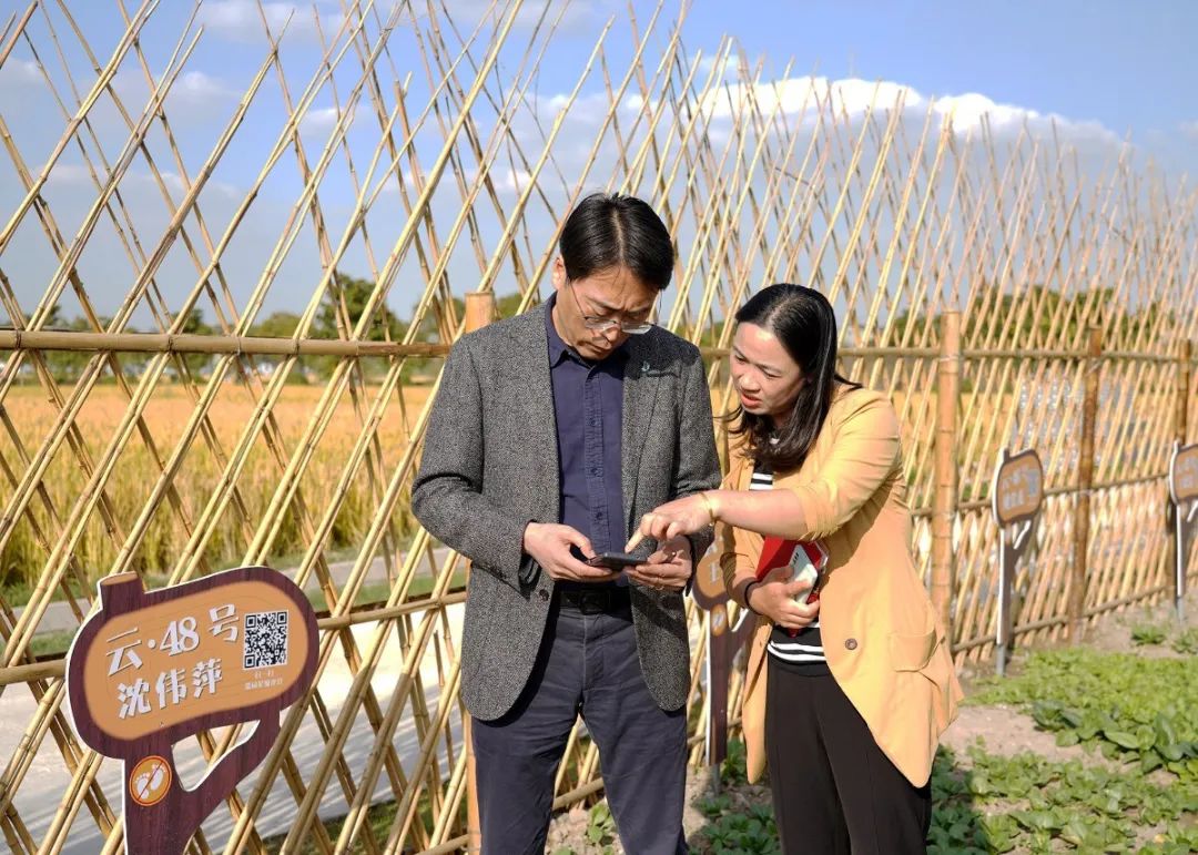 徐泾镇生活日记——包容、快乐、共治共享，陈瑜镇长“话说”金云美丽乡村创建