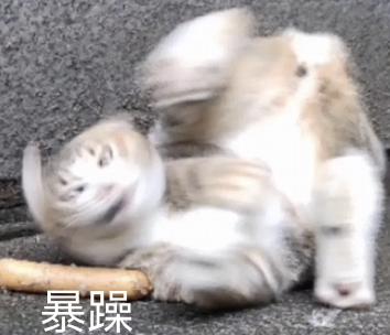 《贪玩蓝月》年入10亿？背后的玩法也太“流氓”了