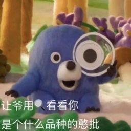 手机常用app的隐藏玩法你知道吗,常用app好用的隐藏功能介绍