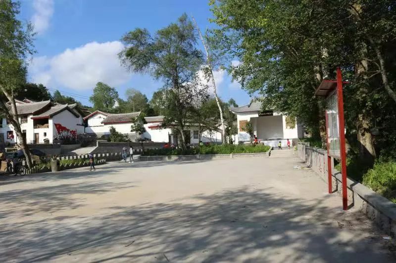 云巅金马池，诗意的远方