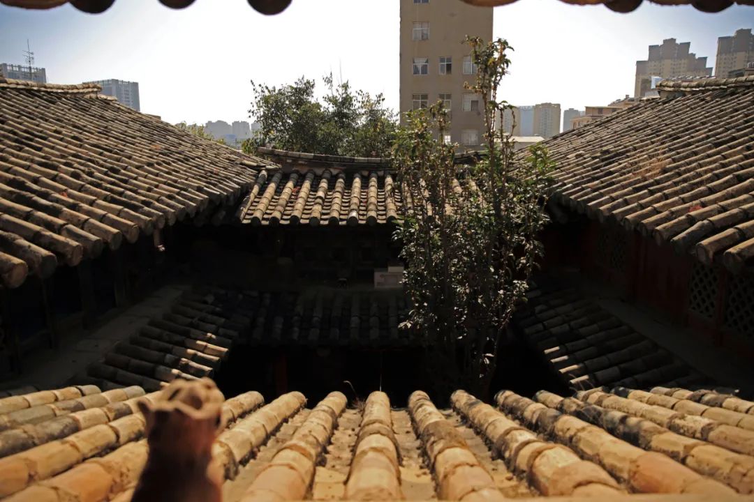 儿子向父亲挥拳的故事,孩子向父亲挥拳