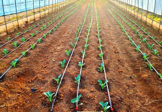 宣威市西宁街道办事处,宣威西宁街道的规划