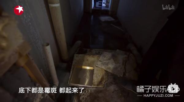 宝藏节目《梦想改造家》！设计师妙手使废墟变豪宅，还省80万？