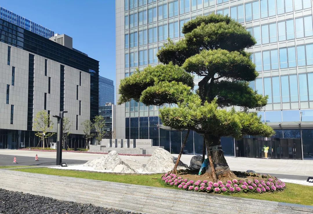 excellent用在哪里,excellent有最高级吗