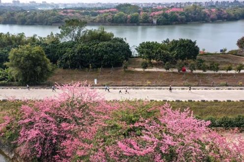 白云区马拉松比赛视频,畅跑长跑