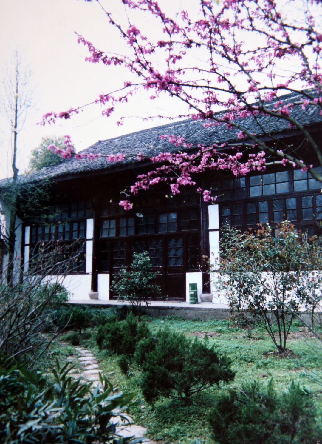 鍗冨勾鏂囪剦鍦ｅ洯,鍙ゅ煄鏂扮櫥