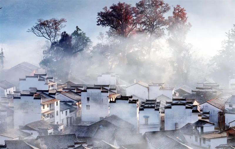 冬天的婺源你见过吗,婺源的秋天到底有多美