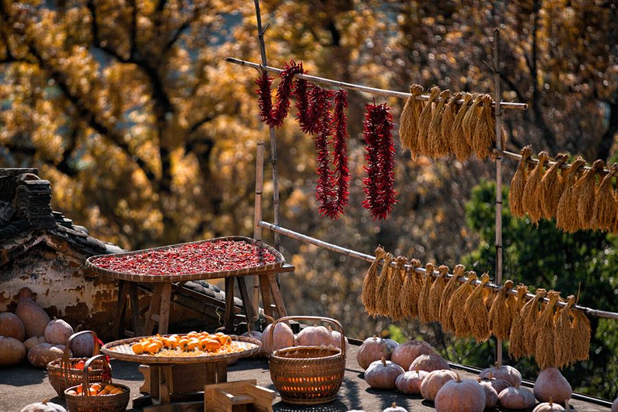 冬天的婺源你见过吗,婺源的秋天到底有多美