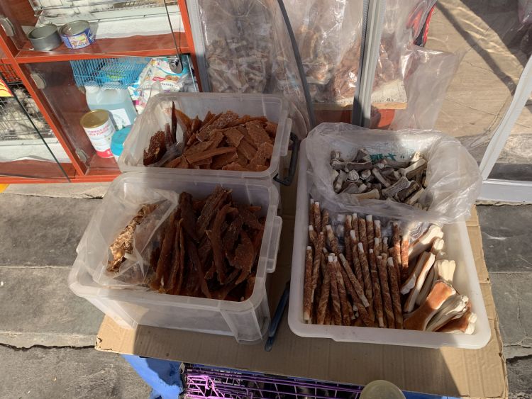 猫宠推荐便宜好用,青岛猫宠