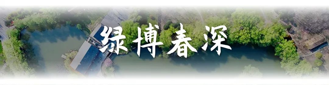 一文看遍大美南京河西，锦绣建邺