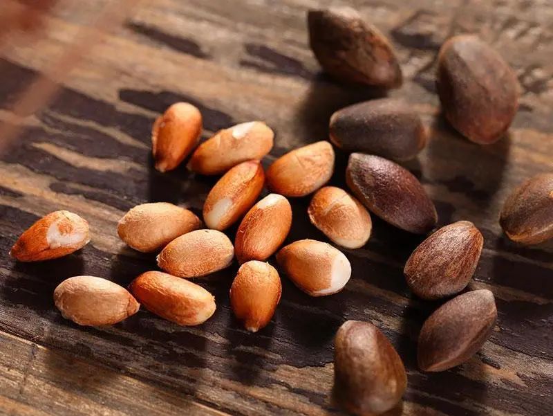 潮享玩昆明,昆明潮玩集合