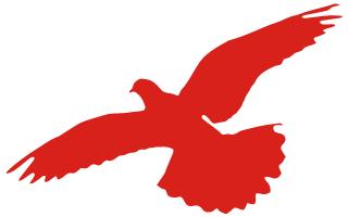 关爱志愿者服务队,公益志愿服务我们在行动