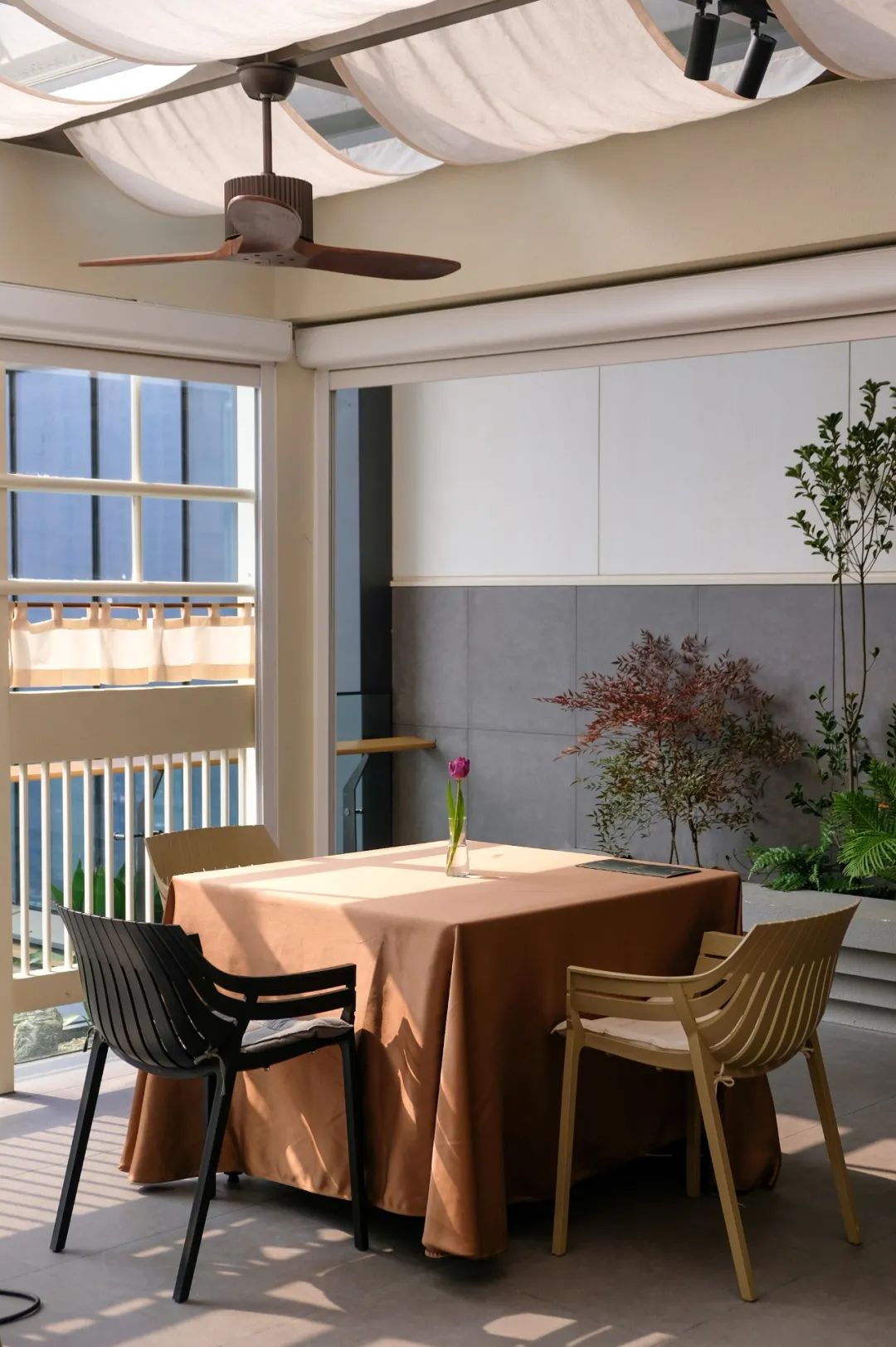 让成都的花胶鲍鱼鸡一姐，给你们讲哈小红袍的故事