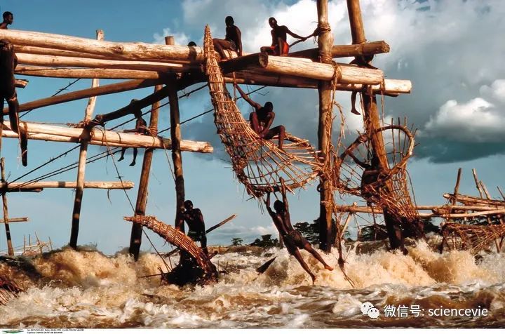 有史以来最简单的捕鱼方式,除了鱼竿还有什么钓具