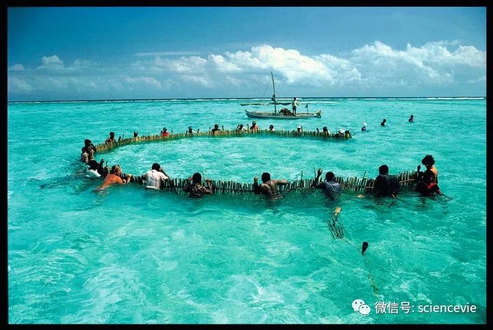 有史以来最简单的捕鱼方式,除了鱼竿还有什么钓具