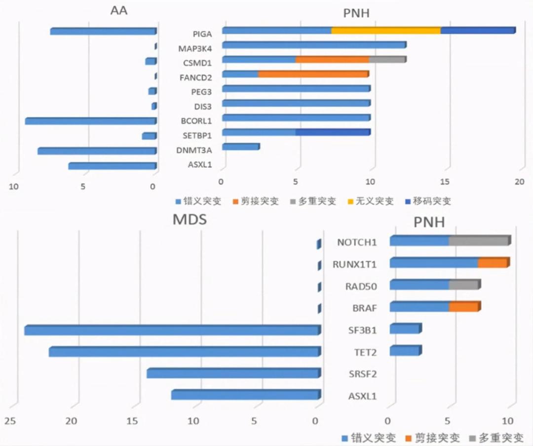 韩冰教授：PNH热门问题解析丨中国血液学发展大会