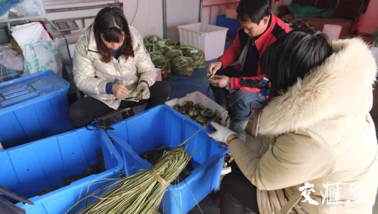 宿迁泗洪发展,宿迁泗洪发展怎么样