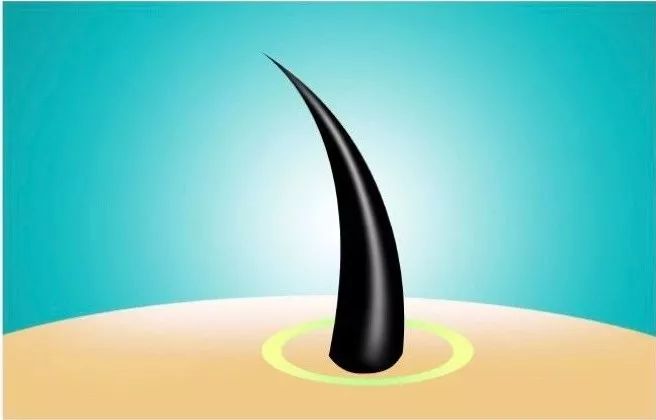 4周瘦20斤食谱,4周瘦30斤高效减脂餐