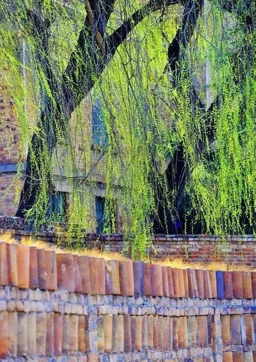 来铜川,来铜川给你不一样的体验