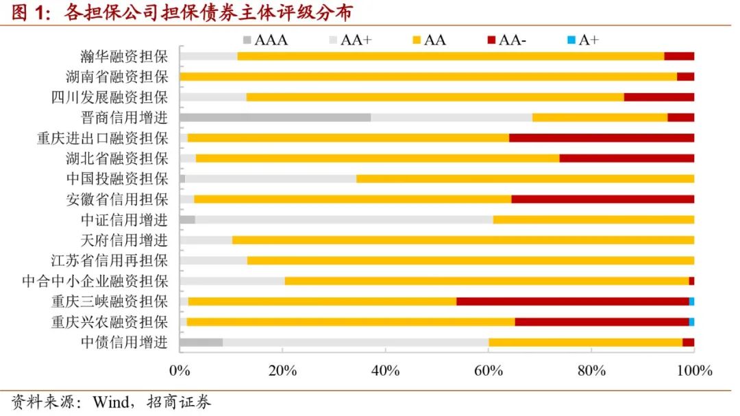 如何评价担保公司靠谱,怎么认定担保公司担保能力下降
