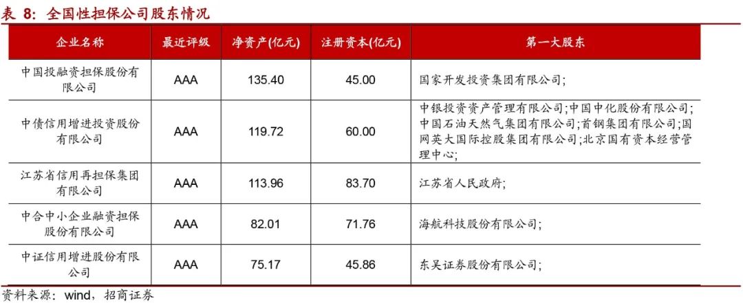 如何评价担保公司靠谱,怎么认定担保公司担保能力下降