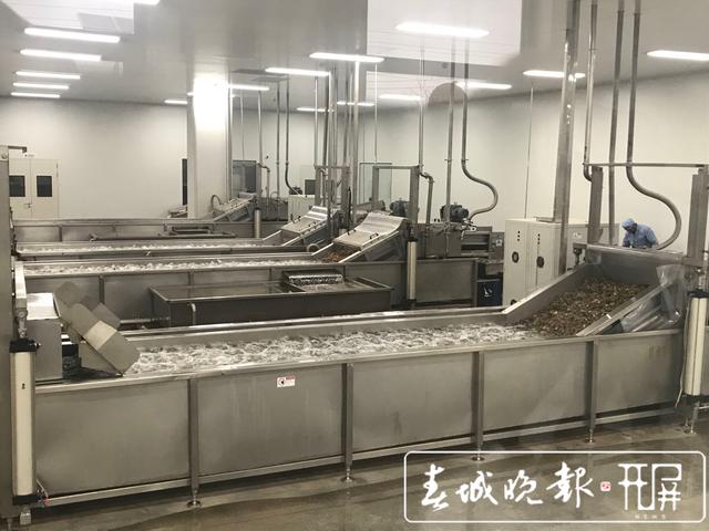 云南白药健之佳,云南白药合作基地