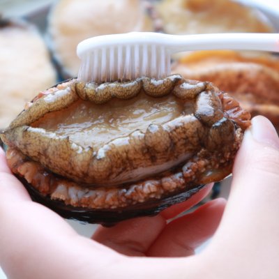 简单家常菜鲍鱼,红烧鲍鱼最简单的做法